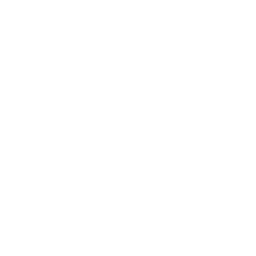 Palm Tree