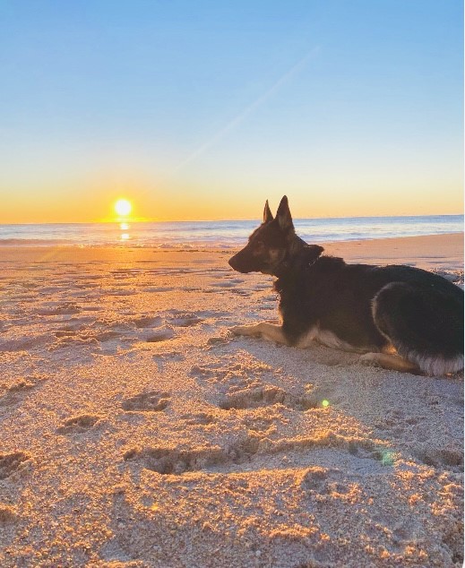 Demi on the beach