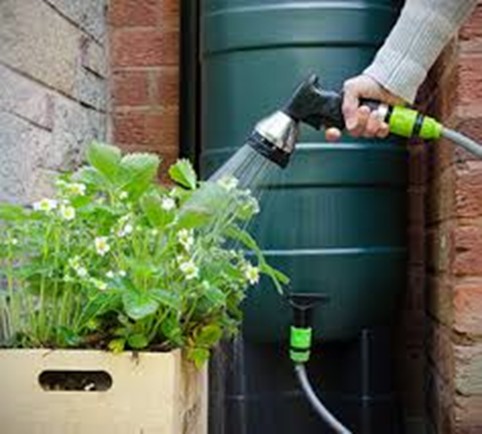 rain barrel